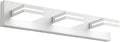 SineRise LED Modern Bathroom Vanity Light Fixtures, Matte White Modern Acrylic by SINERISELIGHTING