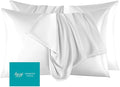 Mulberry Silk Pillow Cases Set of 2, Both Sides Real Silk Pillowcase by Unknown