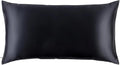 slip King Pure Silk Pillow Case by SLIP