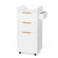 OmySalon Salon Cart with Wheels, 3-Tier Rolling Hair Styling Station, 2 Drawers by OmySalon