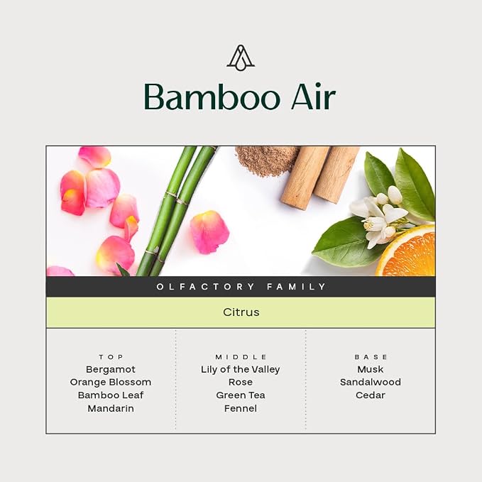 AromaPlan Hotel Scents Bamboo Air 5 Fl Oz, Home Luxury Aroma & Hotel Fragrance - Image 3
