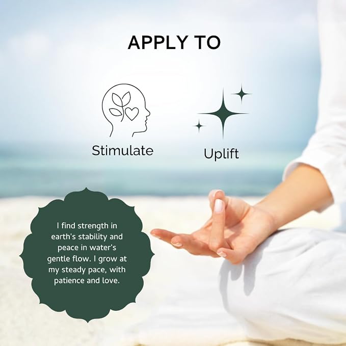 Lemongrass & Lavender Ayurveda Mist | Kapha Balancing Room Spray |Air Freshener - Image 8