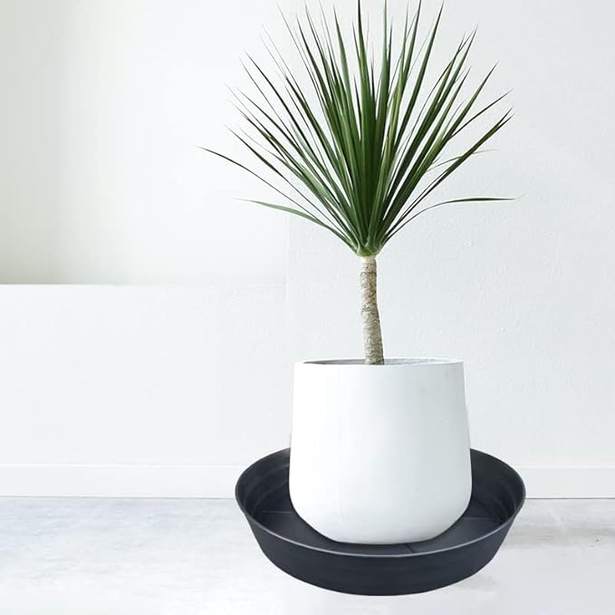 LWALRS Plant Saucer 18 Inch, Extra Large Planter Saucer 4 Pack, Plastic Plant - Image 7