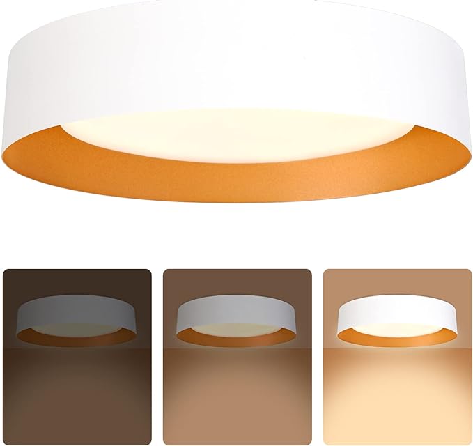 Bargeni 16.5 inch Dimmable LED Flush Mount Ceiling Light, Matte White by Bargeni