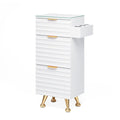 OmySalon Salon Stations for Hair Stylist, Barber Station by OmySalon