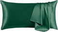 THXSILK 100% Mulberry Silk Pillowcase by THXSILK