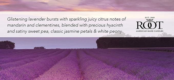Root Candles Scented Candles Honeycomb Glass Premium Handcrafted Beeswax Blend - Image 3