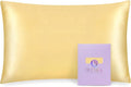 OLESILK 100% Mulberry Silk Toddler Pillowcase by OLESILK