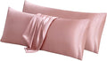 Aormenzy Satin Body Pillow Cover Set of 2, 20x54 Inches Champagne Case by Aormenzy