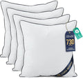 Utopia Bedding Throw Pillow Inserts, 22 x 22 Inches Decorative Indoor Pillows by UTOPIABEDDING