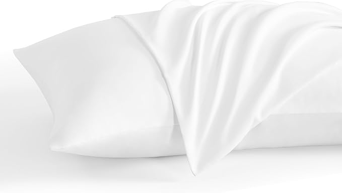 NTBAY Queen Pillow Cases Set of 2, 2 Pack Brushed Microfiber Pillow Cases by NTBAY