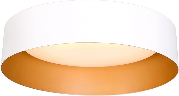 Bargeni LED Ceiling Light Fixture, 12.5 inch Flush Mount Light Fixture by Bargeni