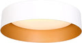 Bargeni LED Ceiling Light Fixture, 12.5 inch Flush Mount Light Fixture by Bargeni