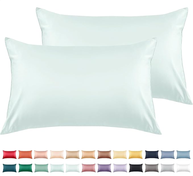 Warmstar Cotton Pillow Cases Queen Size Set of 2, 600 Thread Count Pillowcases by Warmstar