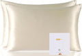 ZIMASILK 100% Pure Mulberry Silk Pillowcase 2 Pack, Soft and Smooth, Both Sides by ZIMASILK