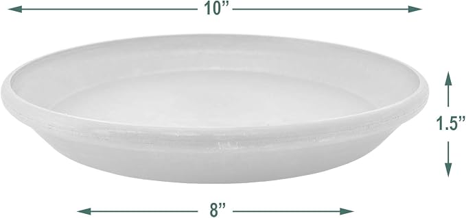 PSW Pot Collection AP25C 10-inch Plastic/Stone/Wood Composite Plant Saucer Drip - Image 4