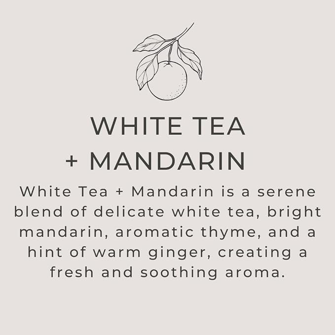 River Birch White Tea + Mandarin Scented Linen and Room Spray | Home Fragrance - Image 3