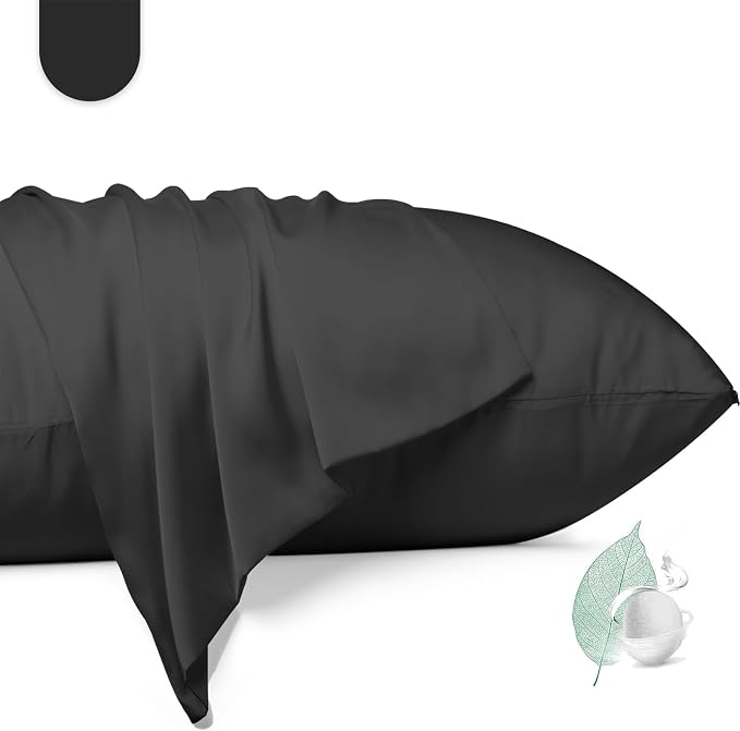 100% Mulberry Silk Pillowcase 2 Pack, Standard Size Silk Pillow Cases by Unknown