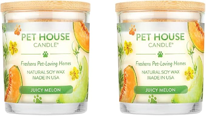 Pet House Candles, Natural Plant-Based, Long Lasting Candles by OneFurAll