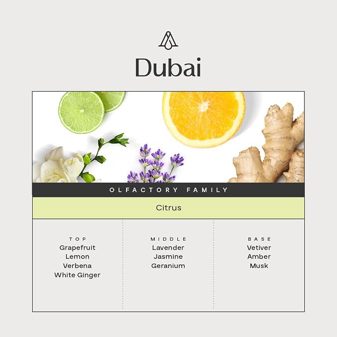 AromaPlan Hotel Scents Dubai, 1.7 Fl Oz- Home Luxury Aroma & Hotel Fragrance - Image 3