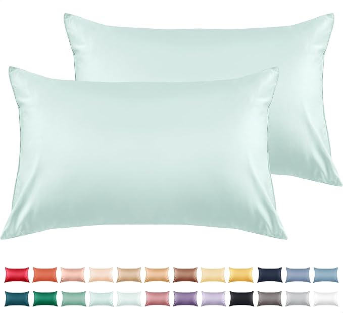 Warmstar Cotton Pillow Cases King Size Set of 2, 600 Thread Count Pillowcases by Warmstar