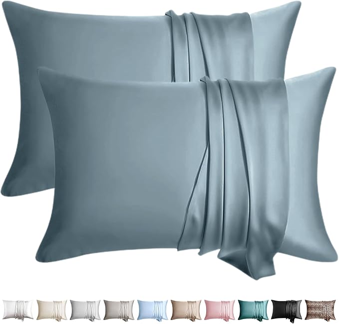 100% Silk Pillow Cases 2 Pack Queen Size Mulberry Silk Pillowcase by WLOSJ