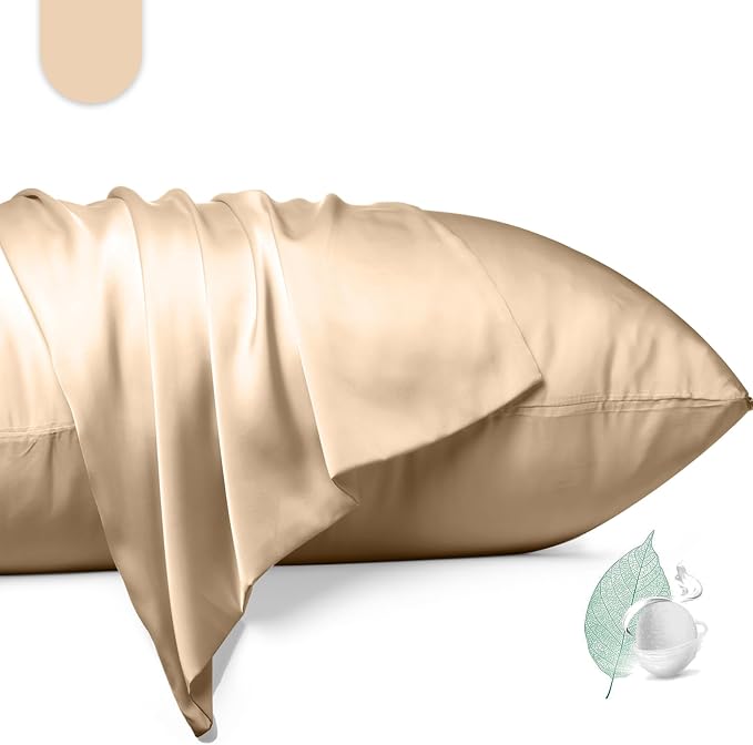 100% Mulberry Silk Pillowcase 2 Pack, Queen Size Silk Pillow Cases by Unknown