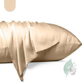 100% Mulberry Silk Pillowcase 2 Pack, Queen Size Silk Pillow Cases by Unknown