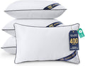 Utopia Bedding Throw Pillow Inserts, 12 x 20 Inches Decorative Indoor Pillows by UTOPIABEDDING