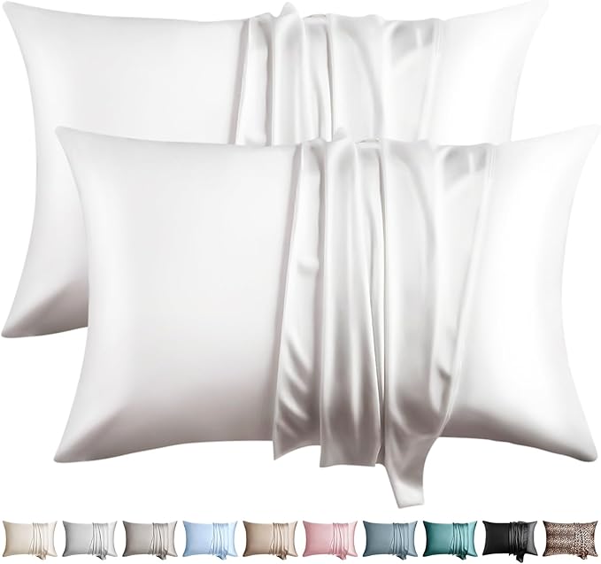 100% Silk Pillow Cases 2 Pack King Size Mulberry Silk Pillowcase by WLOSJ