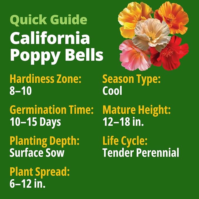HOME GROWN California Poppy Mission Bells 2200 Seeds – Flower Seeds - Image 3