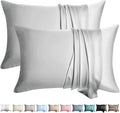 100% Silk Pillow Cases 2 Pack Queen Size Mulberry Silk Pillowcase by WLOSJ