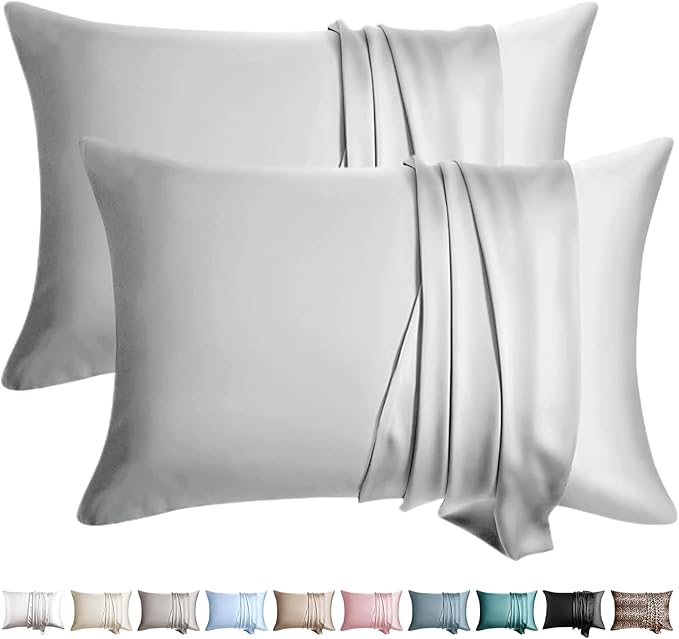 100% Silk Pillow Cases 2 Pack Queen Size Mulberry Silk Pillowcase by WLOSJ