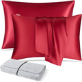 DISANGNI 100% Natural Mulberry Silk Pillow case by DISANGNI
