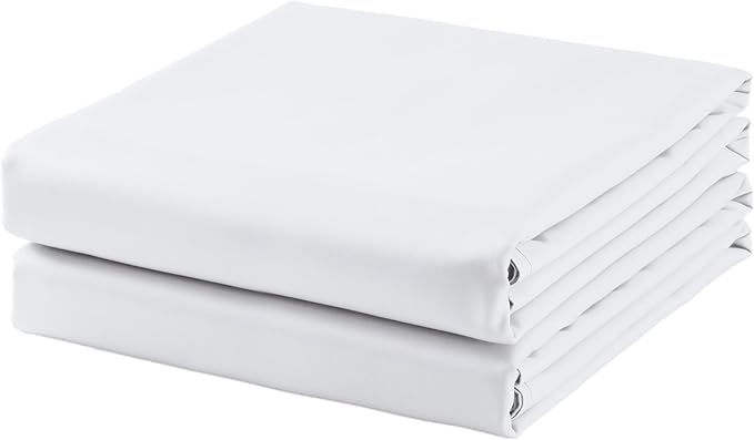 2-Pack Cotton King Flat Sheet Only, 600 Thread Count 100% Egyptian Cotton Top by ZaizaiHome