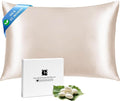 Ravmix Silk Pillow Cases with Zipper, 21momme Mulberry Silk Pillowcase by Ravmix