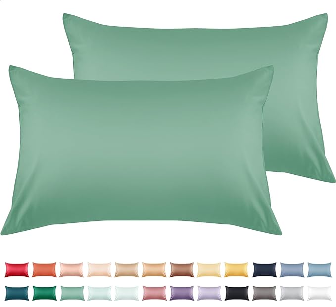 Warmstar Cotton Pillow Cases Queen Size Set of 2, 600 Thread Count Pillowcases by Warmstar