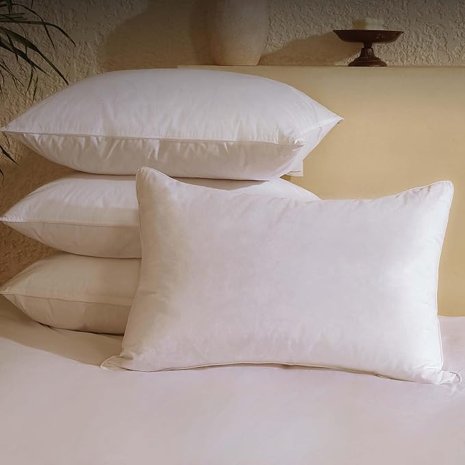 BHZ Goose Down Feather Pillows Standard Size Set of 4 Pack, Luxury Hotel by BHZHouseholdProducts