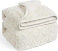 Wemore Weighted Blanket for Adults Twin Size 20 lbs, Dual Sided Soft Fuzzy by WemoreDirect
