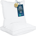 Utopia Bedding Bed Pillows for Sleeping European Size, Soft & Fluffy Pillow by UTOPIABEDDING