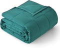 Topblan Weighted Blanket for Adults 20lbs, Soft Cooling Weighted Blankets by Topblan