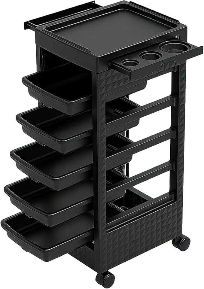 Salon Trolley Cart with Wheels & 5 Drawers, Salon Rolling Stations by Roixeeds