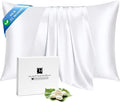 Ravmix 100% Silk Pillow Cases by Ravmix