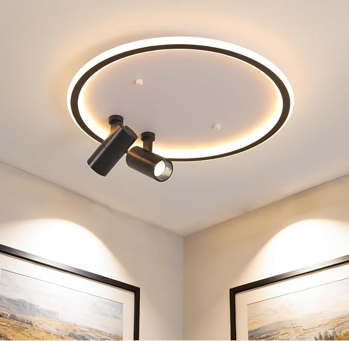 Shine LUEST Modern LED Bedroom Ceiling Light, 2 Adjustable Spotlights, Dimmable by ShineLUEST