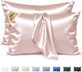 Silk Pillow Cases 2 Pack Queen Size Mulberry Silk Pillowcase Set of 2 by BRINGYOUTHEBEST