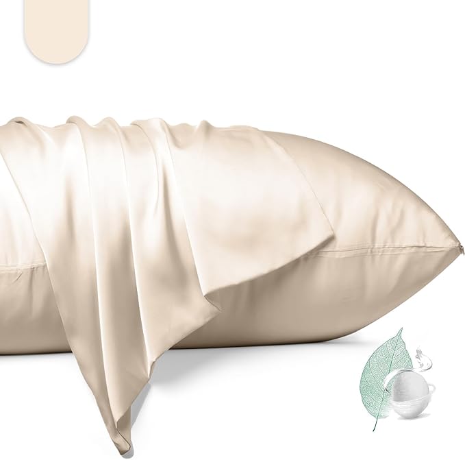 100% Mulberry Silk Pillowcase 2 Pack, Queen Size Silk Pillow Cases by Unknown