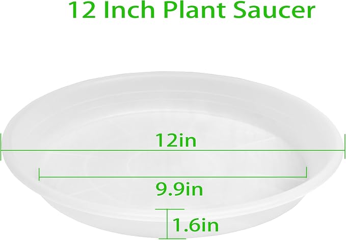 6 Pack of 12 inch Clear Plant Saucer Plant Tray, Plastic Plant Saucer 12 inch - Image 2