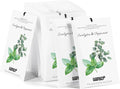MYARO 12 Packs Eucalyptus Mint Scented Sachets by MYARO