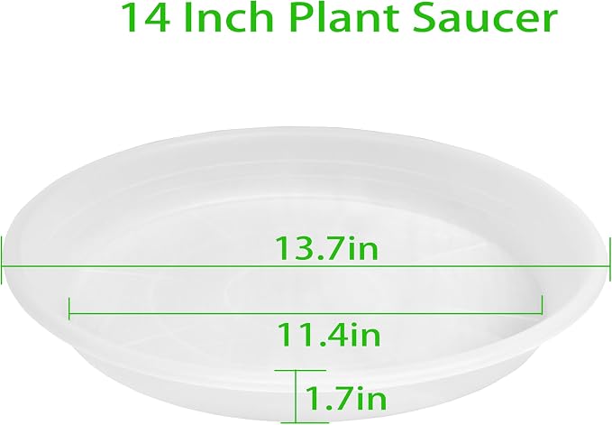 2 Pack of 14 inch Clear Plant Saucer, Plastic Plant Saucer 14 inch, Bird Bath - Image 2