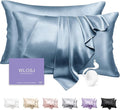 100% Silk Pillow Cases 2 Pack Queen Size Mulberry Silk Pillowcase Set of 2 by WLOSJ